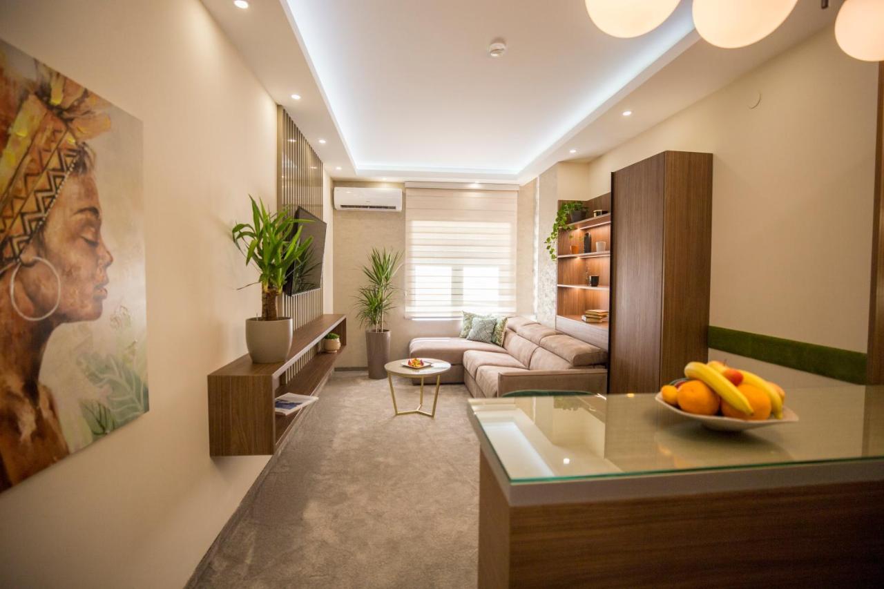 Vs Apartmani Vrnjačka Banja 外观 照片